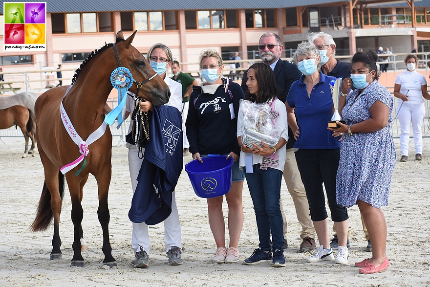 La protégée de Mathilde Doutressoulles, Idyll Ron des Etoiles, est sacrée championne Suprême du National 2020 - ph. Poney As