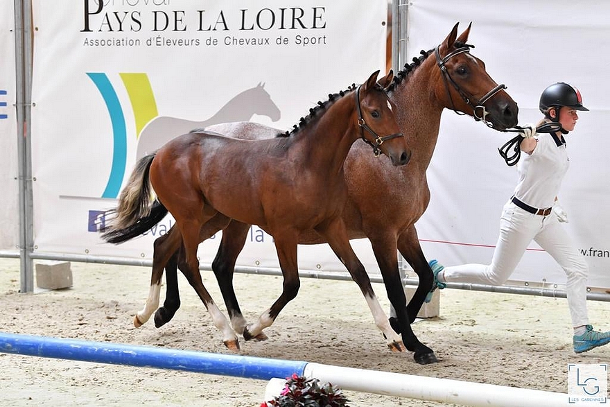 Kaducee de Franc Jeu - ph. Les Garennes