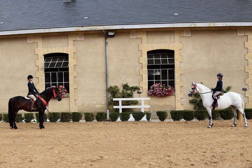 Westide Mirah II, gagnant de la Ridden Class et Dizzy, la Réserve - ph. Fabienne Chevalier