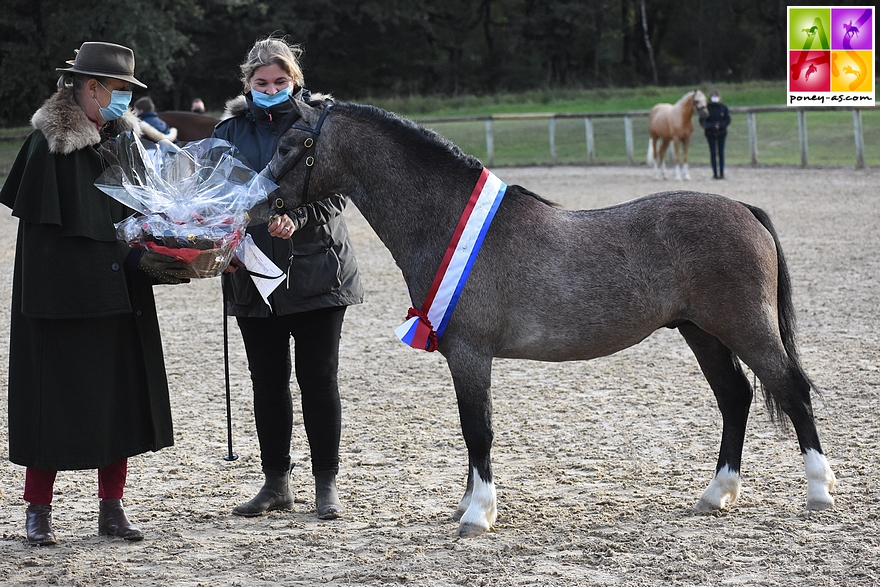 Marie-Christine Duroy de Laurière et Dorothée Poupon, l’éleveuse d’Idalgo Dornoa – ph. Poney As 