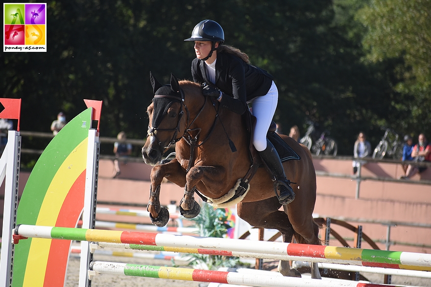 Duo de poneys pour deux soeurs - Le Tricomonde de Sophie