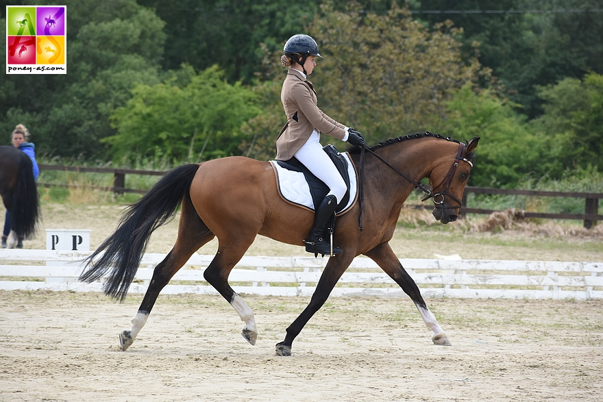 Débordant d’énergie jeune, Virtuose Teakitina s’est montré régulier sur le circuit du Cycle Libre troisième année. Très joli poney, il sait convaincre les juges de dressage. Ici avec Chloé Gualtieri sur le rectangle du Grand Prix de Mettray en 2019 – ph. Poney As