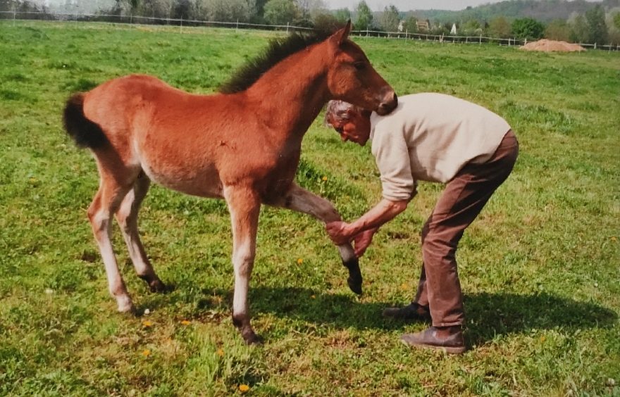 Olivier Despierres et son poulain Nadir de L'Ocq, en 2001 - ph. Lucile Chavane