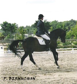 Anaïs Thibot et Teake It Easy SL lors des championnats de France Grand Prix de Dressage de 2004