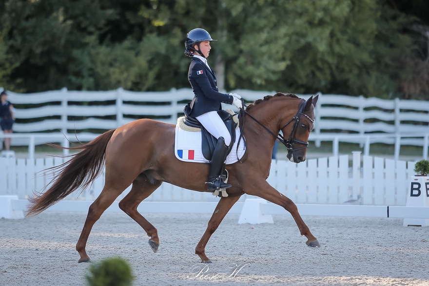 Blanche Carré Pistollet et Dazzling Kid d’Herbord en action sur le rectangle hongrois, lieu de l'échéance européenne de 2020 - ph. Rose Harang