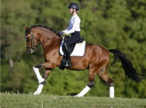 L’Allemande Antonia Roth signe trois victoires lors du CDIP d’Opglabbeek dont deux avec son très prometteur Dark Delight B – ph. Horst Streitferdt