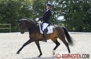 Cornelia Munch Sinding et Terbofens Charico - ph. Kristine Bojsen / Ridehesten.com