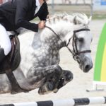 Antoine Renoult et Atomic du Ried remportent le Grand Prix As Excellence du Sologn’Pony – ph. Poney As