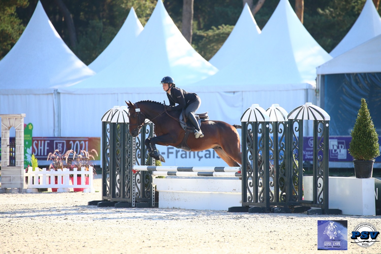 L’étalon Pfs Gatsby de la Selune et sa propriétaire Amélie Berthault s'emparent du titre dans le championnat des 5 ans de Hunter – ph. PSV