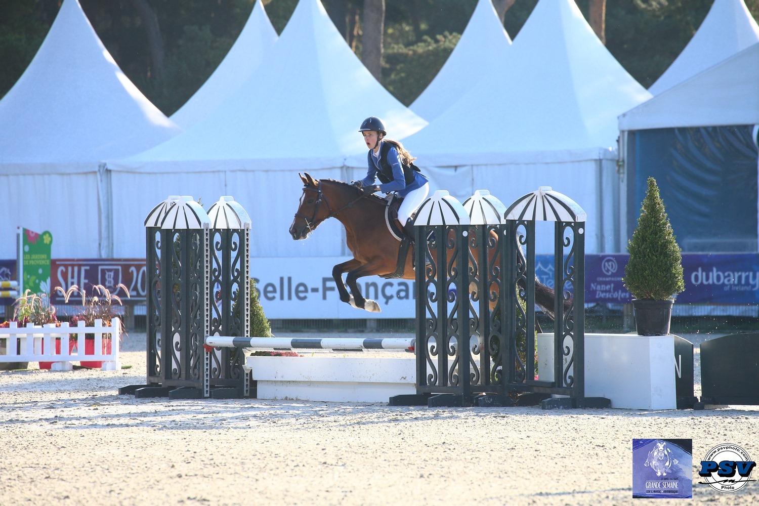 Helice of Noub est sacrée championne des 4 ans sous la selle de la jeune Julia Raynaud - ph. PSV