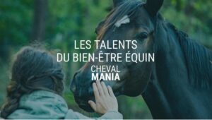 Les talents du bien-être équin