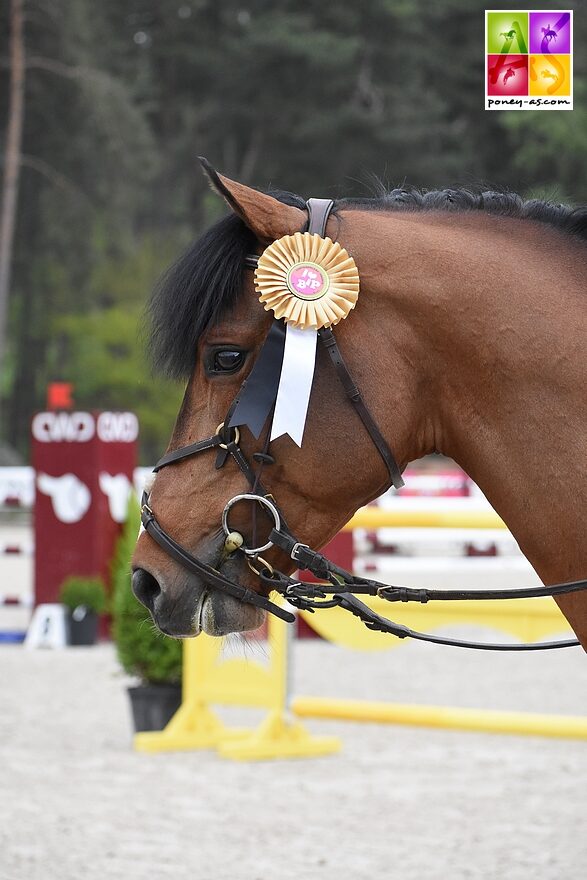 Freebox Bélébat et Antoine Renoult – ph. Poney As