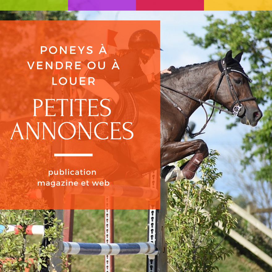 le meilleur moyen de se démarquer et de rendre visible votre poney !