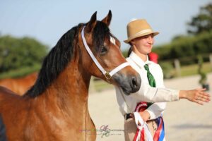 La Welsh Cob Tigger Lili de Maïka est sacrée championne Suprême - ph. Aurélie Esclozas