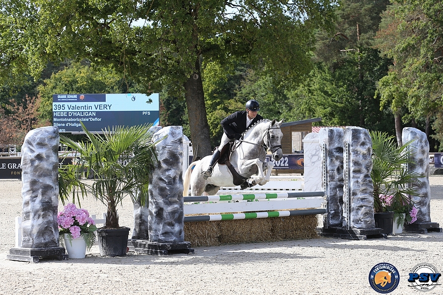 Le champion des 5 ans, Hébé d'Haligan, reçoit également une mention Elite sous la selle de Valentin Very – ph. SHF