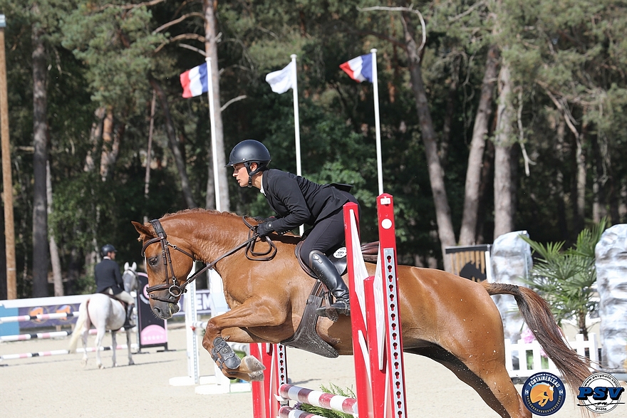 Hayate des Cosses montée par Mathilde Accart – ph. SHF