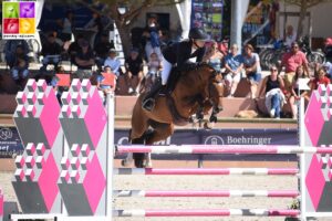 Golden Star des Houx, championne des 6 ans sous la selle de Pauline Henry – ph. Poney As