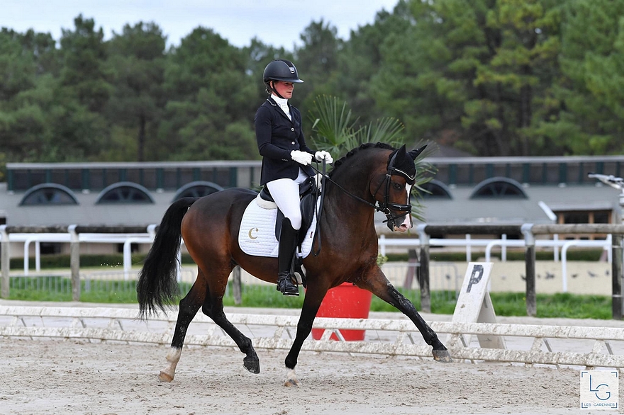 Champion des 6 ans : RM Most Beautiful Boy présenté par Alizée Roussel - ph. Les Garennes