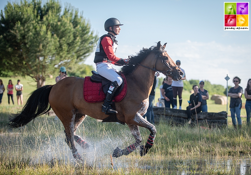 PONEY CLUB DES ECUREUILS, Cavasoft