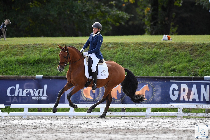 Champion des 4 ans : Ghostbuster du Hans sous la selle de Margot Frattinger - ph. Les Garennes