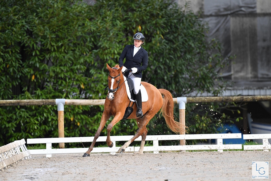 Champion des 5 ans : RM Cuvee de Luxe monté par Laetitia Isselin - ph. Les Garennes