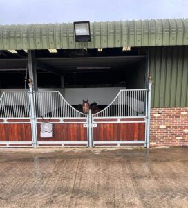 Le mâle de 3 ans Janagro des Islots (par Mylord Carthago) dans son box en Angleterre – ph. HK Sporthorses