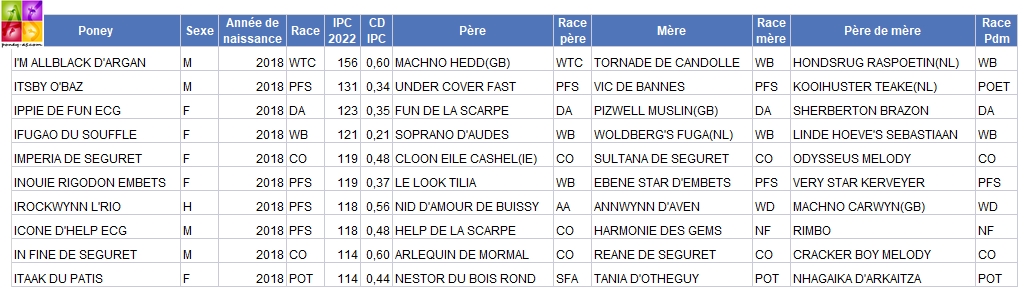 IPC 2022 des poneys de 4 ans