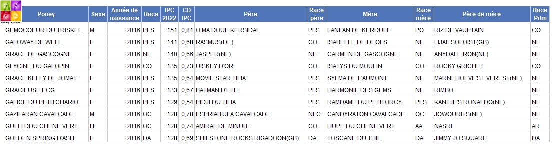 IPC 2022 des poneys de 6 ans