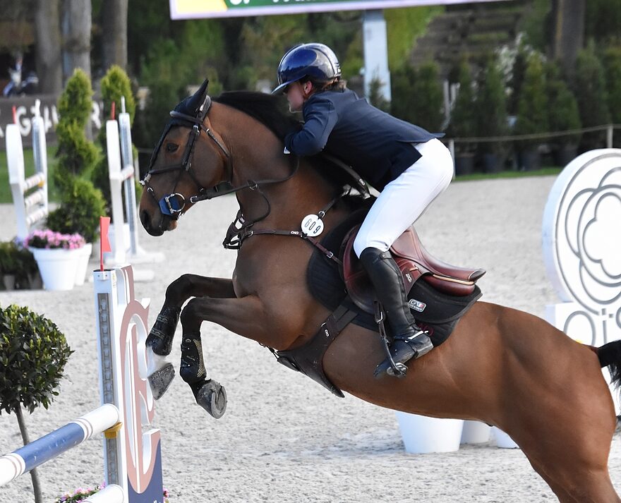 Famous Aron du Vassal – ph. Poney As