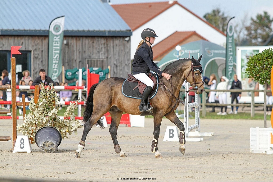 Angies Star d’Oseana