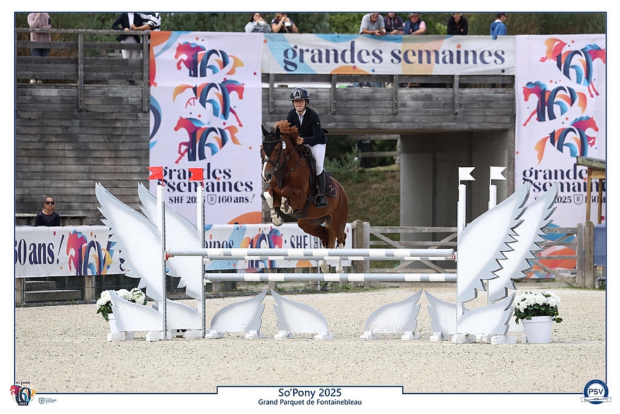 Jotunn d'Aven – ph. PSV