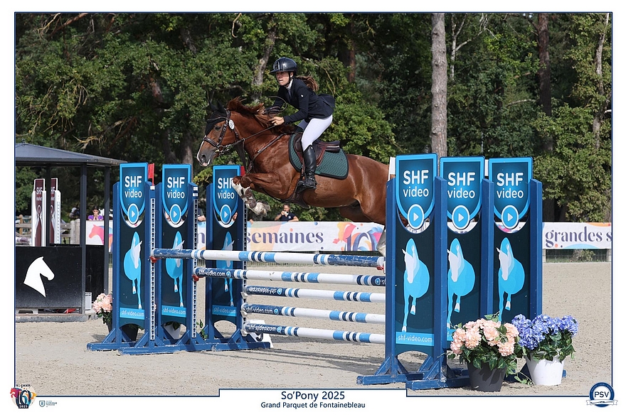 Jotunn d'Aven – ph. PSV