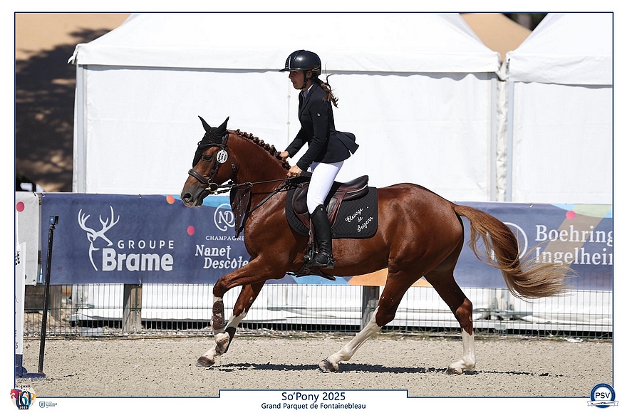 Jotunn d'Aven – ph. PSV