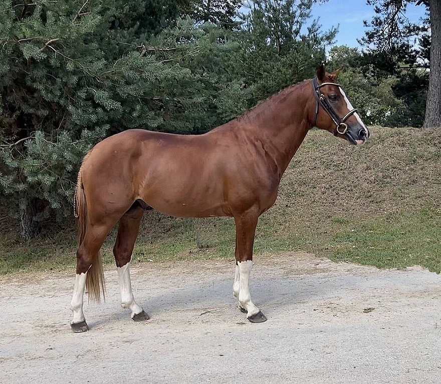 Jotunn d'Aven – ph. coll. privée