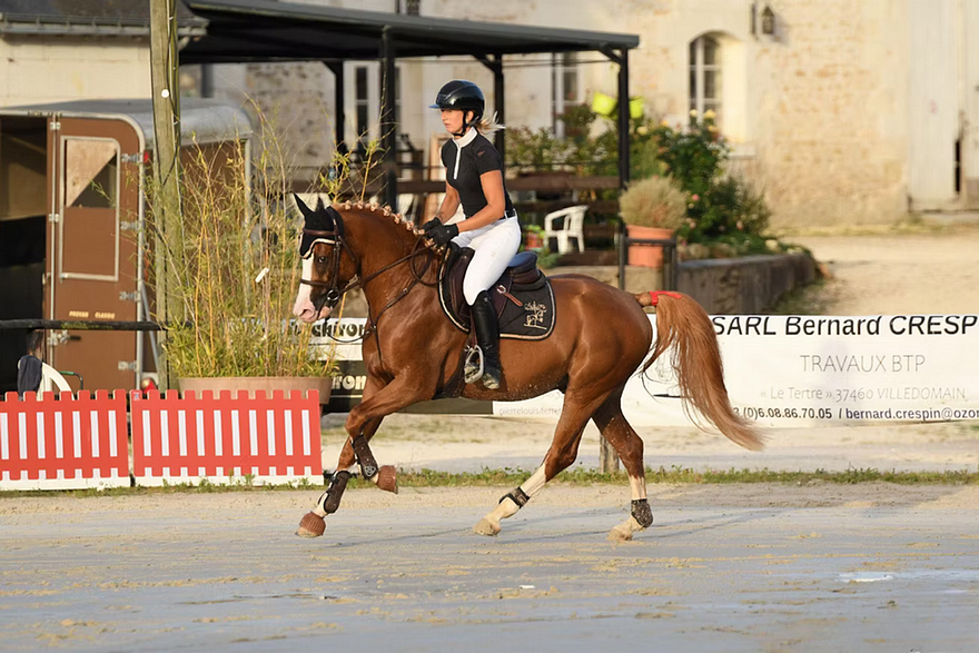 Iam A Star d'Embets – ph. coll. privée