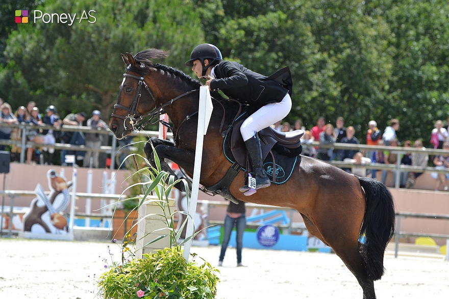 O’Fever de l’Arbalou – ph. Poney As
