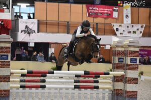 L'étalon PFS Very Star Kerveyer - ph. Poney As