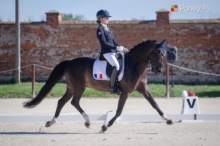 Orchard NL – ph. Poney As