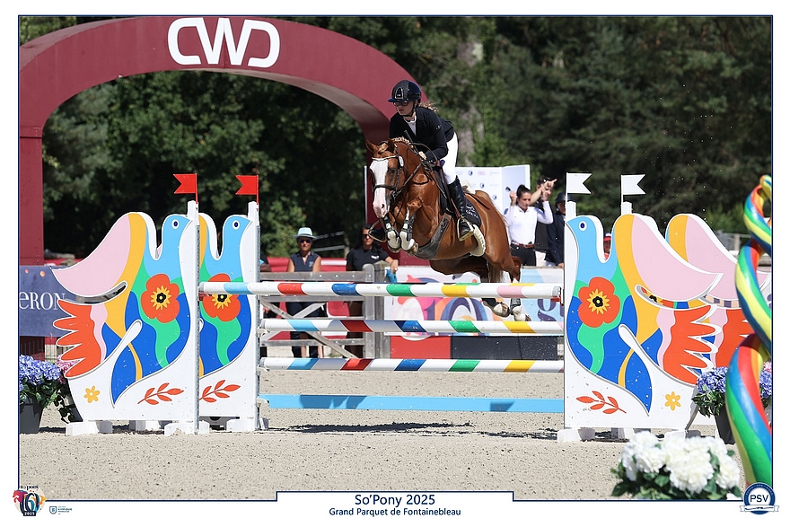 Iam A Star d'Embets – ph. PSV