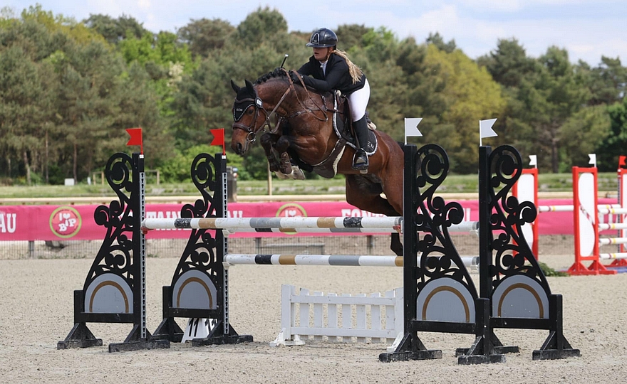 Iram Boy d'Embets - ph. PSV