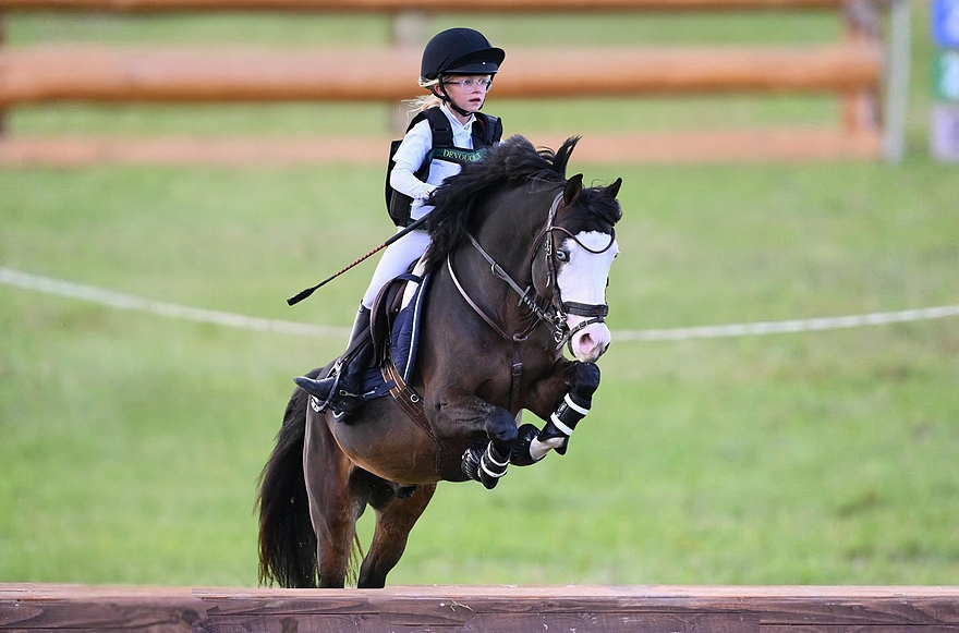 Jagger Embets Tilia - ph. coll. privée