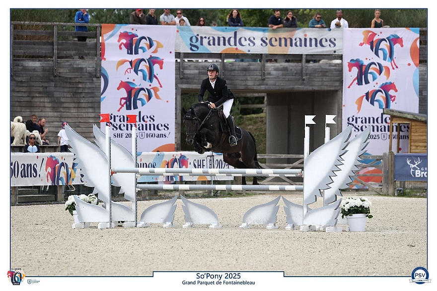 Jungle Boogie Alias – ph. PSV