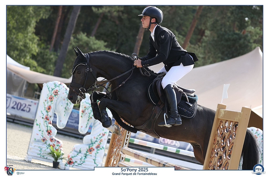 Jungle Boogie Alias – ph. PSV