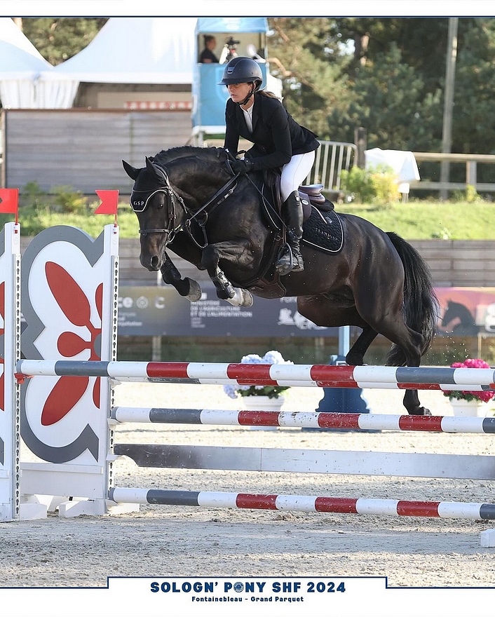 Jungle Boogie Alias – ph. PSV