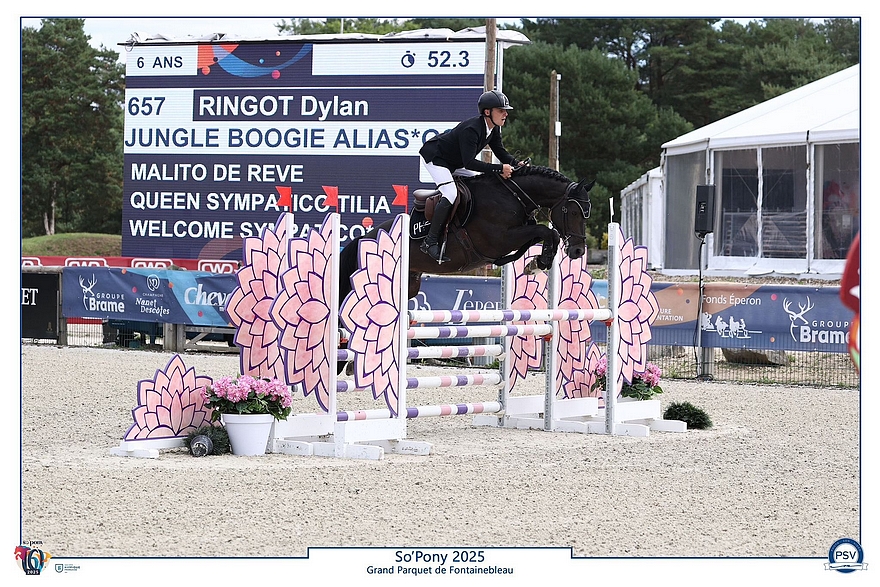 Jungle Boogie Alias – ph. PSV