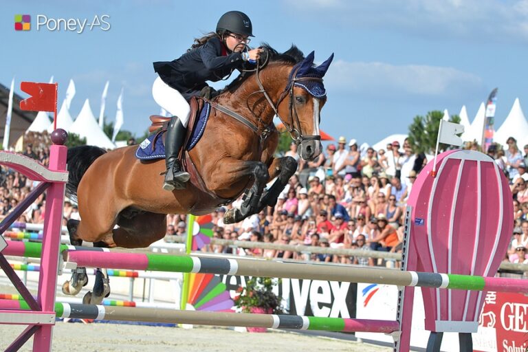 Quabar des monceaux poneys
