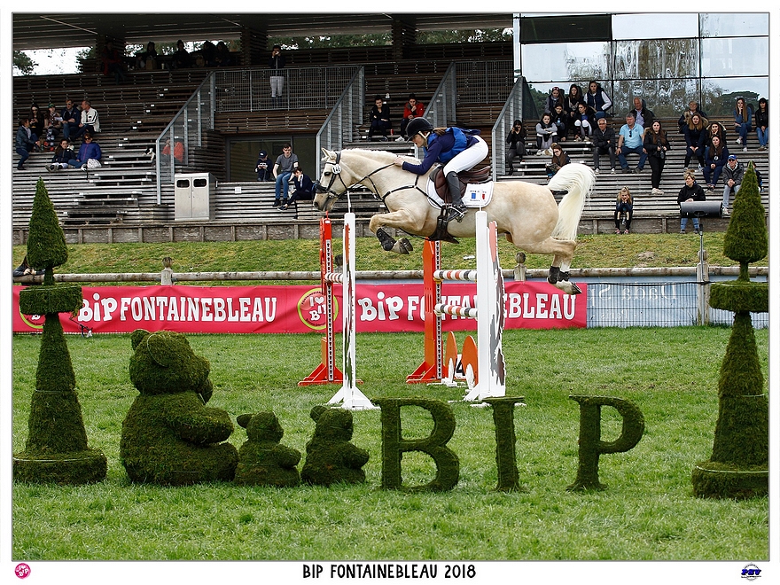 Totem du Martray - ph. PSV