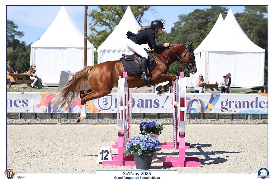 Jotunn d'Aven – ph. PSV