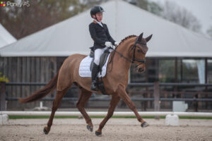 Timothé Viaud et Dazzling Kid d’Herbord – ph. Marine Delie