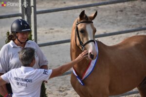 Beukenoords Balans - ph. Poney As